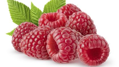 Obrázek VARIEGATO LAMPONE G 2 x 5 kg (obj)